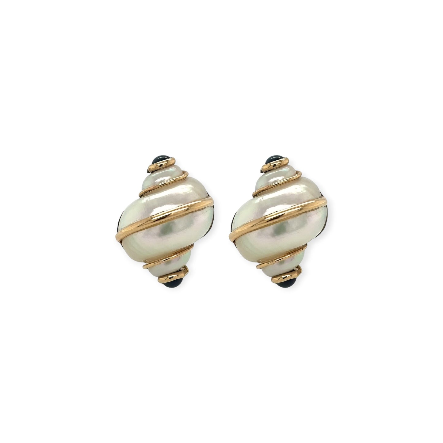 Turbo Shell Sapphire Earrings